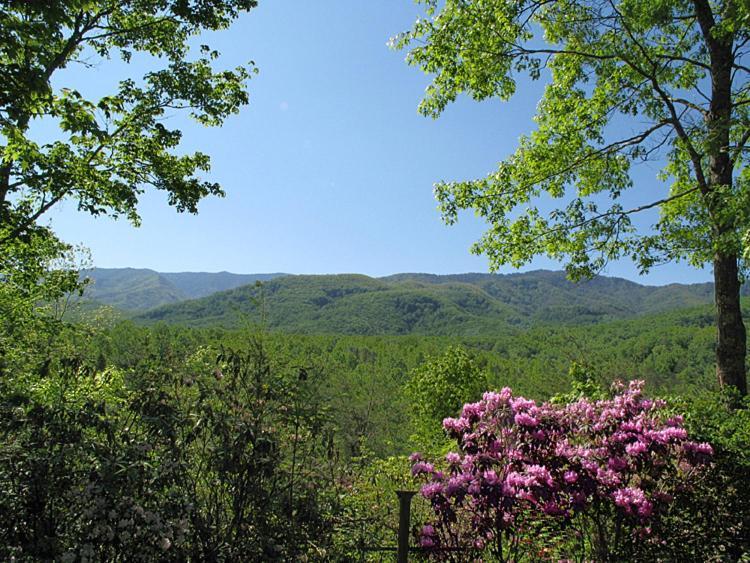Seneca Villa Gatlinburg Dış mekan fotoğraf